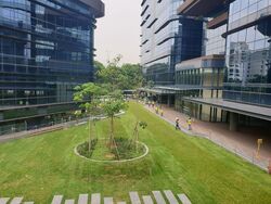 Woods Square (D25), Office #524229161